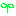 はっぱ