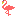 フラミンゴ