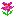 花４