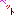 ペット