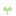 dcm