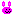 bunny