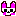 コーギー