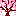 さくら５