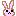 うさぎ