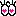きゅん