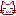 ネコ目つむり