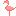 フラミンゴ