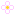 白い花