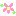 花-1
