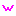 ｗ