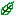 葉っぱ