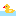 アヒル