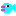 ドン魚