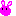 ウサギ