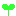 葉っぱ