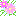 お花