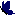 蝶