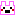 兎