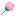 つぼみ