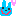 うさぎ
