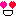 顔