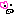 ブタ