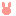 うさぎ