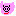 ブタ