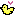 ひよこ