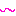 せん
