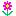 お花