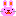 ねぎちゃん