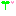 芽