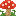 キノコ