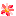 お花