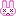 うさぎ
