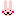 うさ吉
