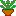 鉢植え