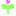 芽