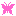 P蝶