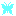 B蝶