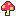 きのこ