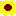 ひまわり
