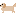さくら