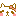 きてぃーちゃん