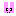 うさぎ