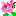 ばら