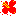 ハイビスカス