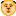 犬